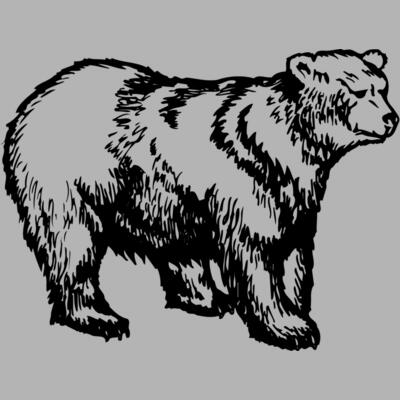 BEAR018 Miniaturansicht
