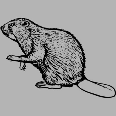 BEAVER03 Miniaturansicht