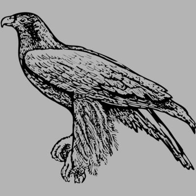 BIRD003 Miniaturansicht