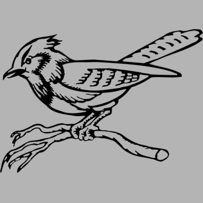 BIRD011 Miniaturansicht