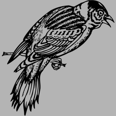 BIRD022 Miniaturansicht