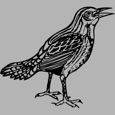 BIRD023 Miniaturansicht