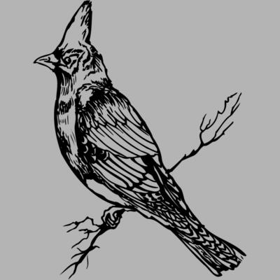 BIRD025 Miniaturansicht