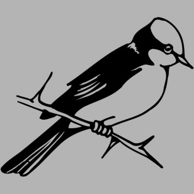 BIRD040 Miniaturansicht