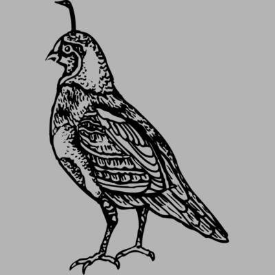 BIRD042 Miniaturansicht