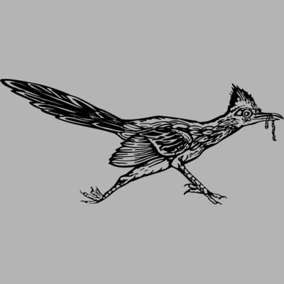 BIRD046 Miniaturansicht