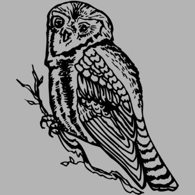 BIRD048 Miniaturansicht