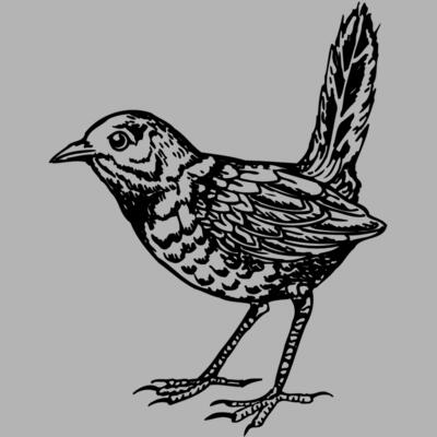 BIRD052 Miniaturansicht