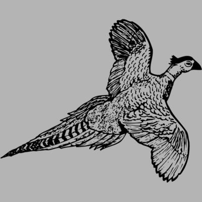 BIRD056 Miniaturansicht