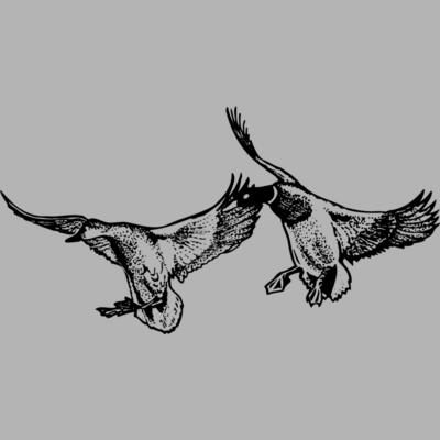 BIRD079 Miniaturansicht