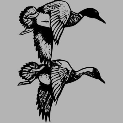 BIRD084 Miniaturansicht