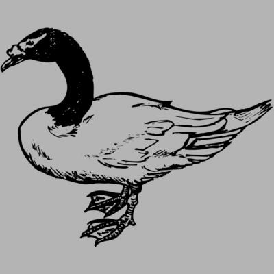 BIRD086 Miniaturansicht