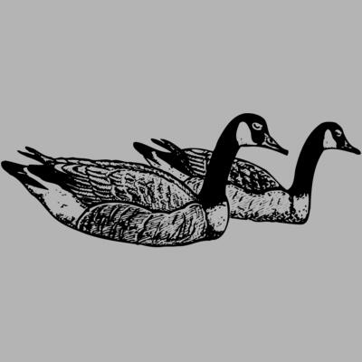 BIRD100 Miniaturansicht