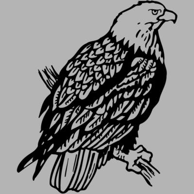 EAGLE024 Miniaturansicht
