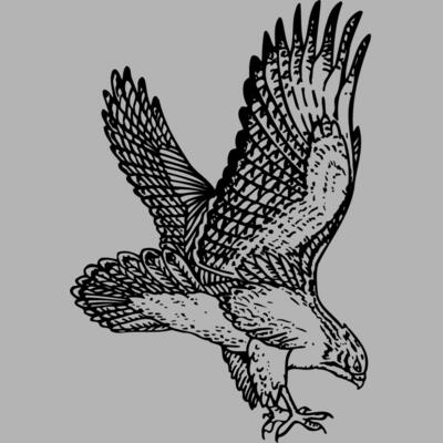 EAGLE026 Miniaturansicht