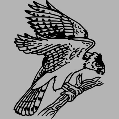 EAGLE027 Miniaturansicht