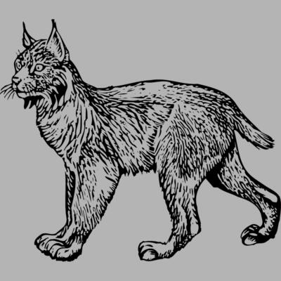 BOBCAT01 Miniaturansicht