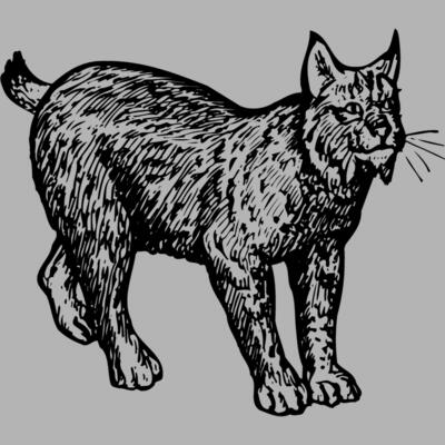 BOBCAT02 Miniaturansicht