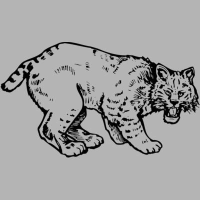 BOBCAT03 Miniaturansicht