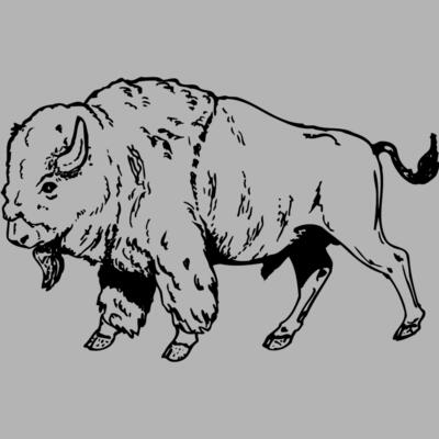 BUFF001 Miniaturansicht