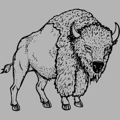 BUFF002 Miniaturansicht