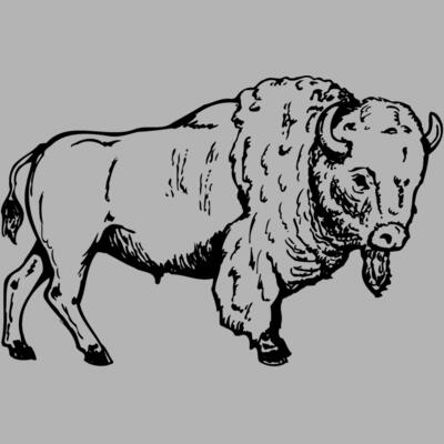 BUFF003 Miniaturansicht