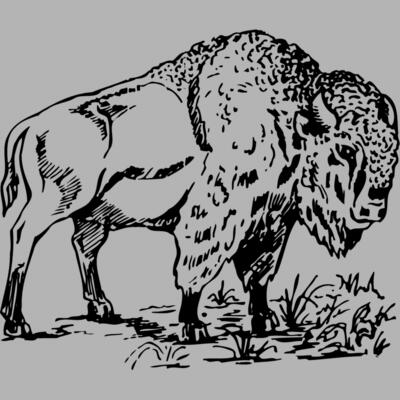 BUFF004 Miniaturansicht