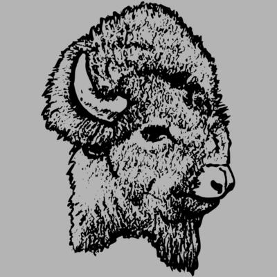 BUFF005 Miniaturansicht