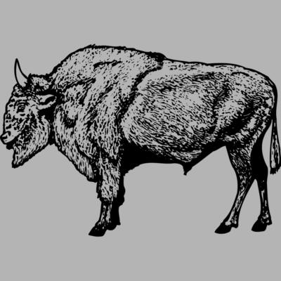 BUFF006 Miniaturansicht