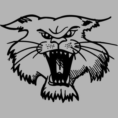 CAT01 Miniaturansicht