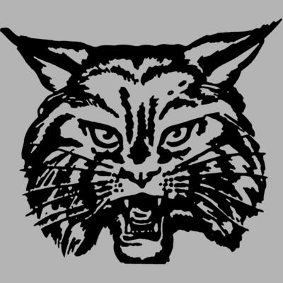 CAT03 Miniaturansicht