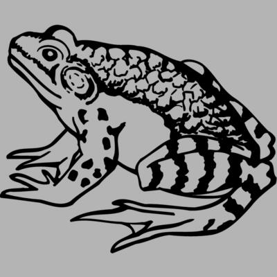 FROG03 Miniaturansicht