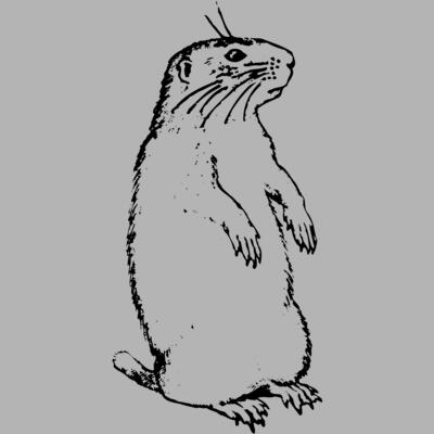 GOPHER01 Miniaturansicht