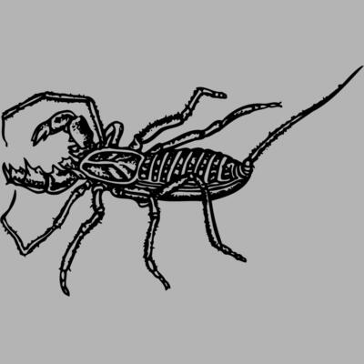 SCORP02 Miniaturansicht