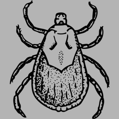 TICK Miniaturansicht