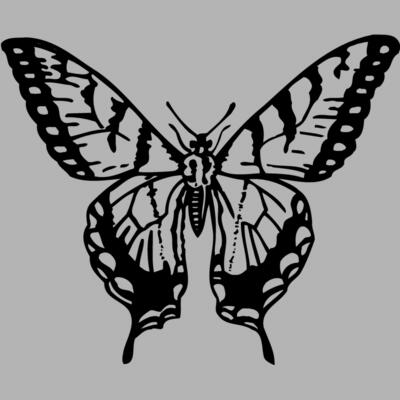 BTRFLY06 Miniaturansicht