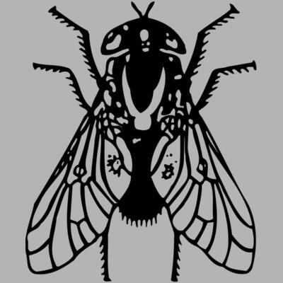 FLY02 Miniaturansicht