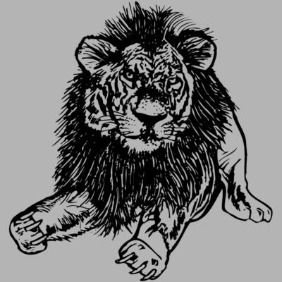 LION005 Miniaturansicht