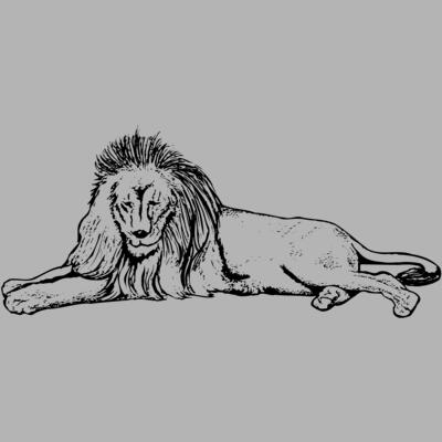 LION008 Miniaturansicht