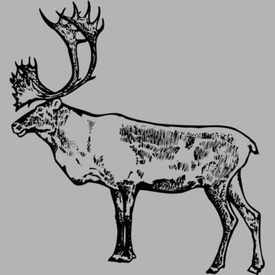 MOOSE003 Miniaturansicht