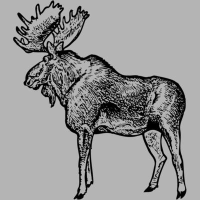 MOOSE004 Miniaturansicht