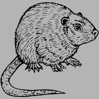 MOUSE002 Miniaturansicht