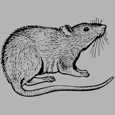 MOUSE003 Miniaturansicht