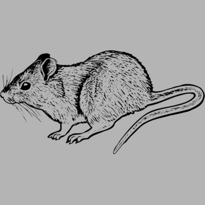 MOUSE004 Miniaturansicht