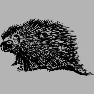 PORC001 Miniaturansicht