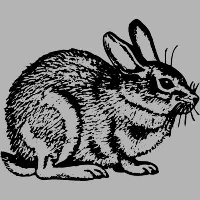 RABB002 Miniaturansicht