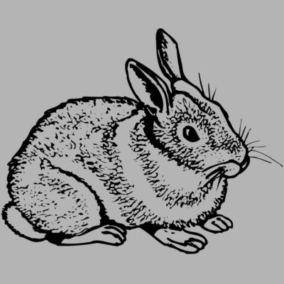 RABB003 Miniaturansicht