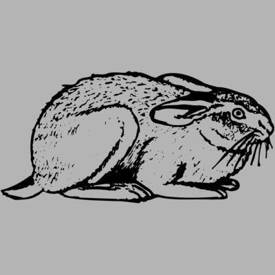 RABB004 Miniaturansicht