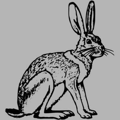 RABB005 Miniaturansicht