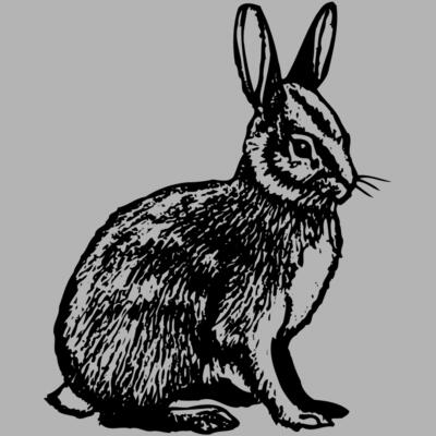 RABB006 Miniaturansicht